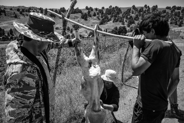 2025-pamir-choinamsub-6-1