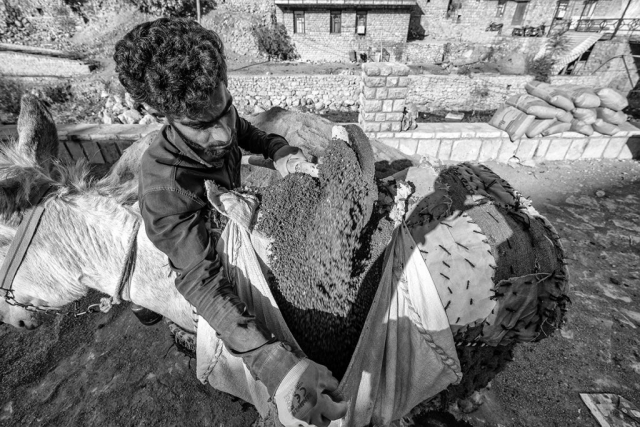 2025-palangan-choinamsub-10