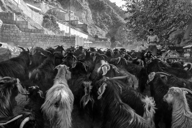 2025-palangan-choinamsub-8